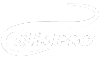 SlimPro